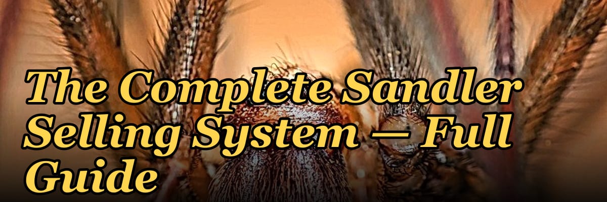 The Complete Sandler Selling System — Full Guide