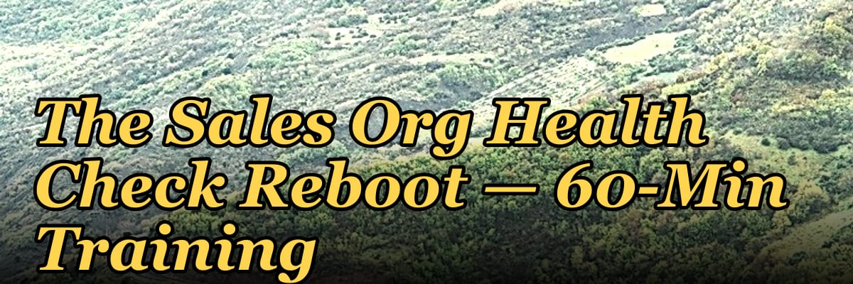 The Sales Org Health Check Reboot — 60-Min Training