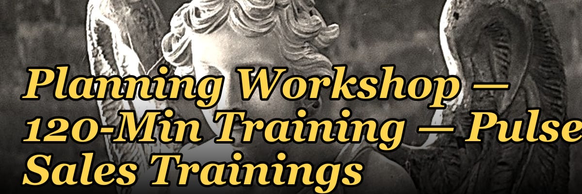 The Enterprise Account Planning Workshop — 120-Min Training — Pulse Sales Trainings