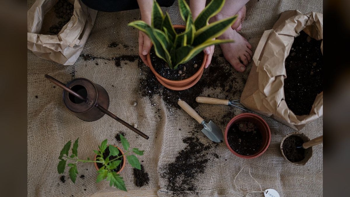 Top 10 SEO tools for organic growth in 2027 — figure 2
