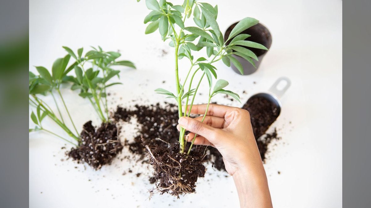 Top 10 SEO tools for organic growth in 2027 — figure 4