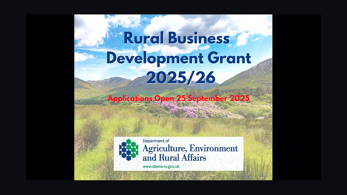 Top 10 Grants for Small Businesses in 2027 — figure 6