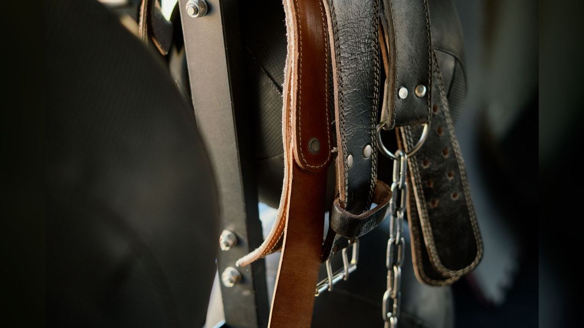 Top 10 Belts for Business Attire in 2027