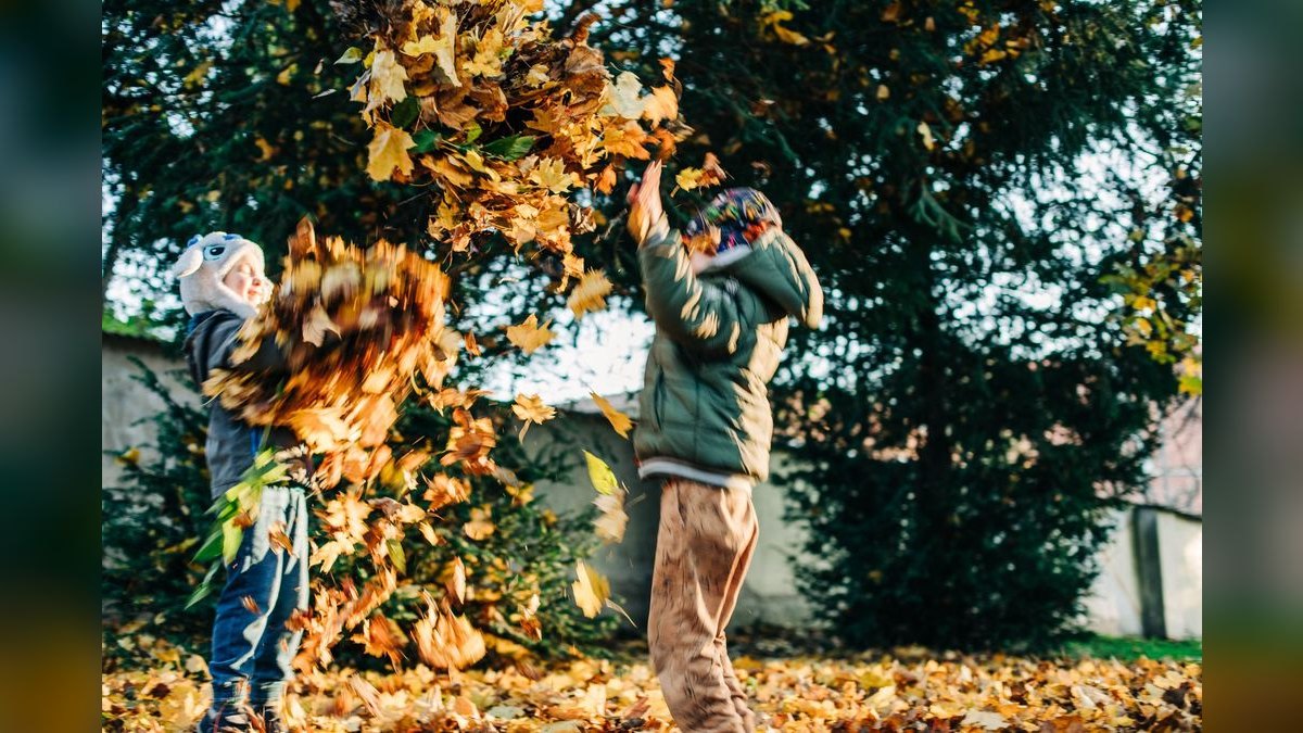 What to Wear to a Fall Backyard Wedding in 2027