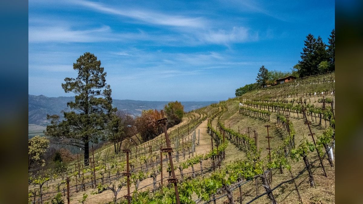 What to Wear in Napa Valley in Summer in 2027