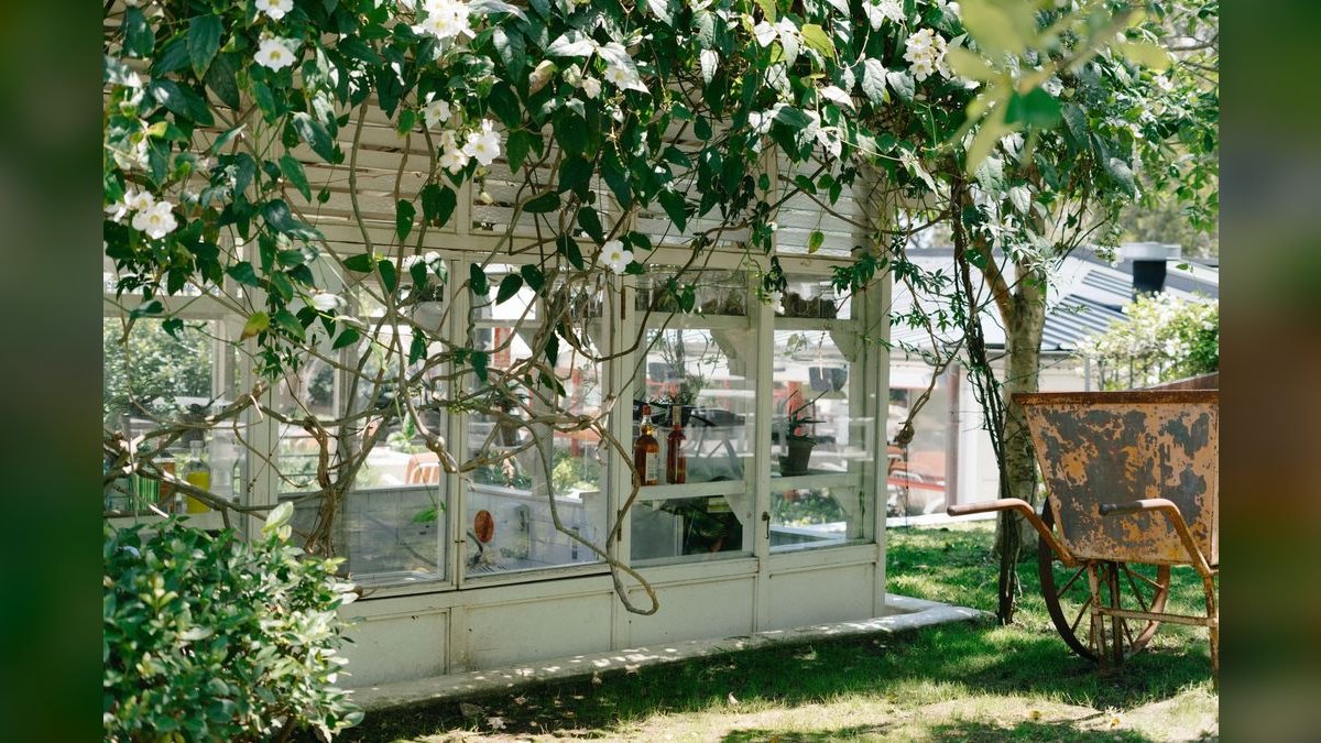What to Wear as a Guest to a Greenhouse Wedding in 2027