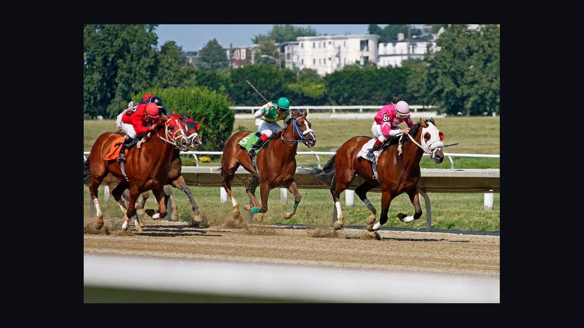 What to Wear to a Horse Race in 2027 — figure 10