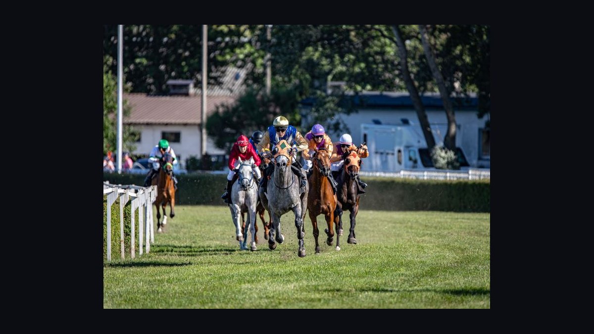 What to Wear to a Horse Race in 2027 — figure 2