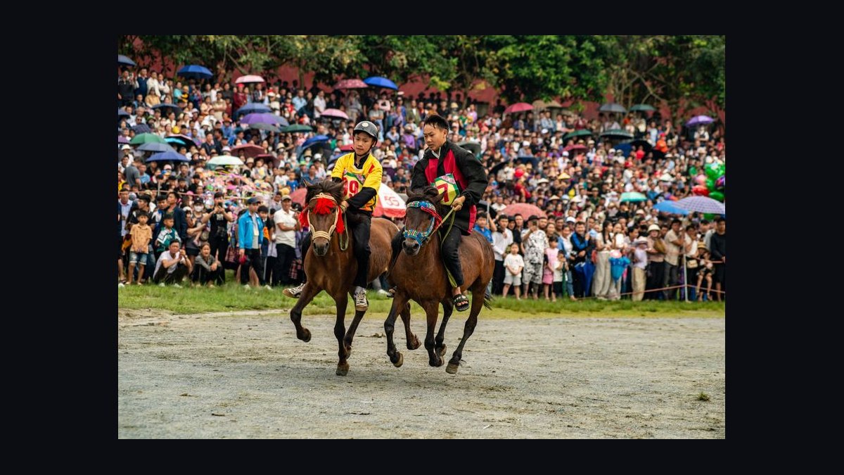 What to Wear to a Horse Race in 2027 — figure 5