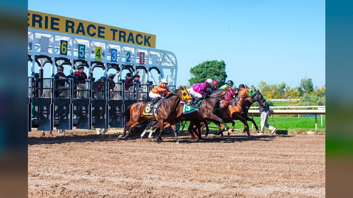 What to Wear to a Horse Race in 2027