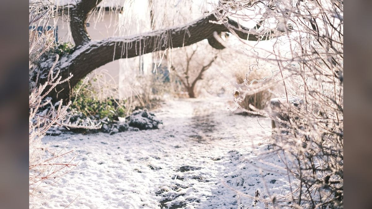 What to Wear to a Winter Garden Wedding in 2027