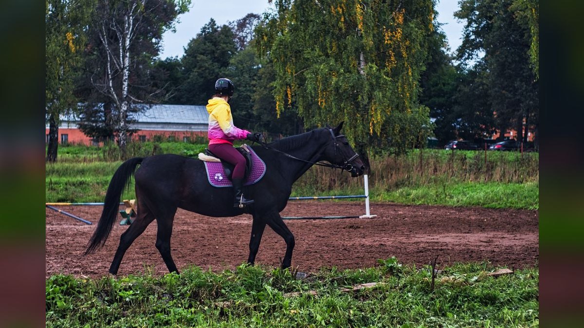What to Wear to Horseback Riding in 2027 — figure 1