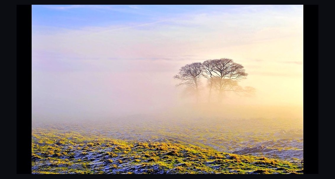 What to Wear on a Foggy Morning in 2027