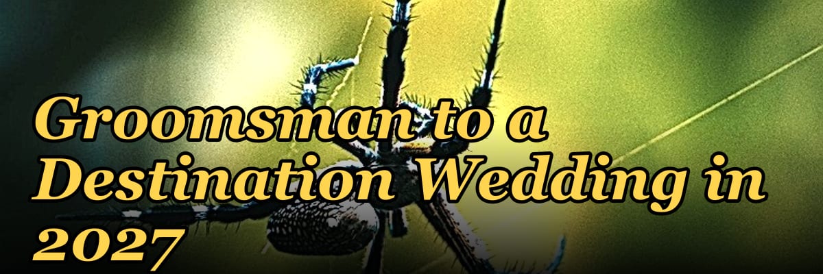 What to Wear as a Groomsman to a Destination Wedding in 2027