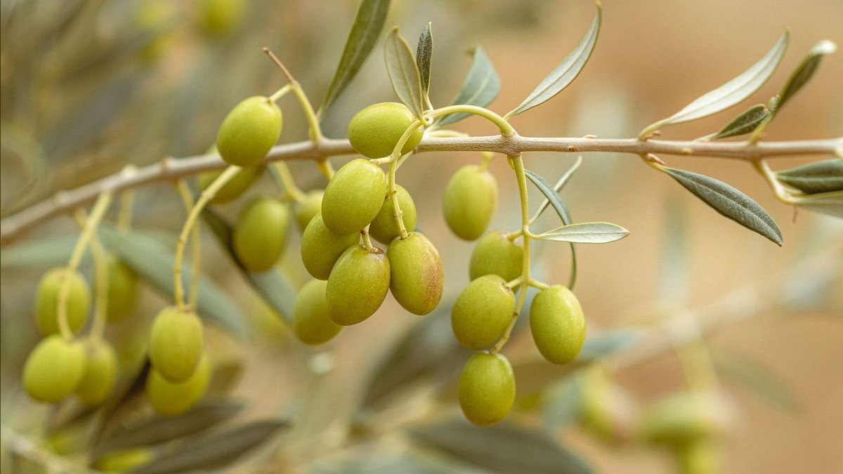 How to Wear Olive Green in Fall in 2027