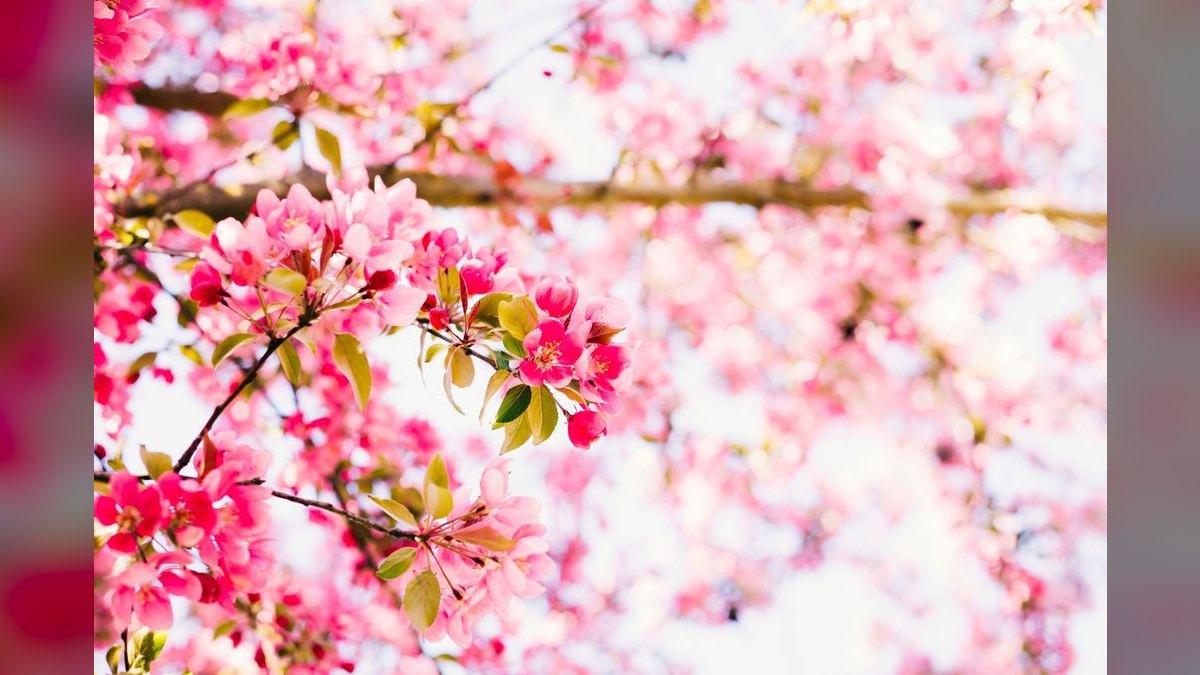 How to Wear Hot Pink in Spring in 2027
