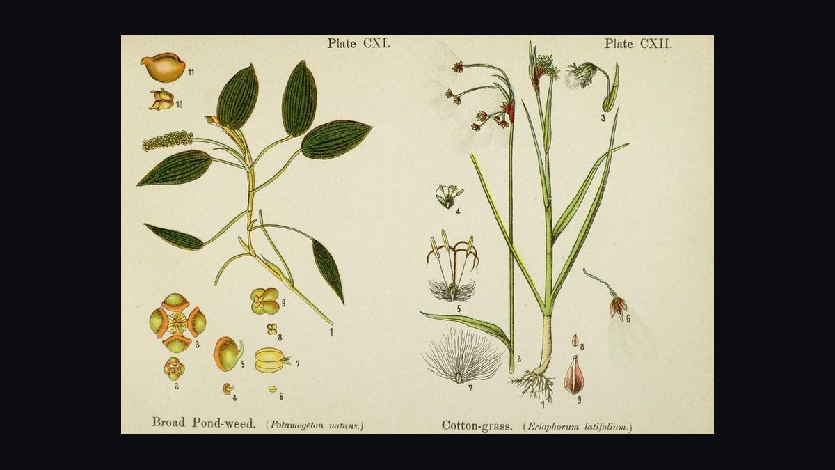 Should I Wear Linen or Cotton in Humid Summer Heat in 2027 — figure 7