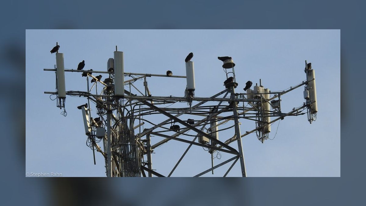How do I troubleshoot cell phone signal issues in 2027 — figure 2