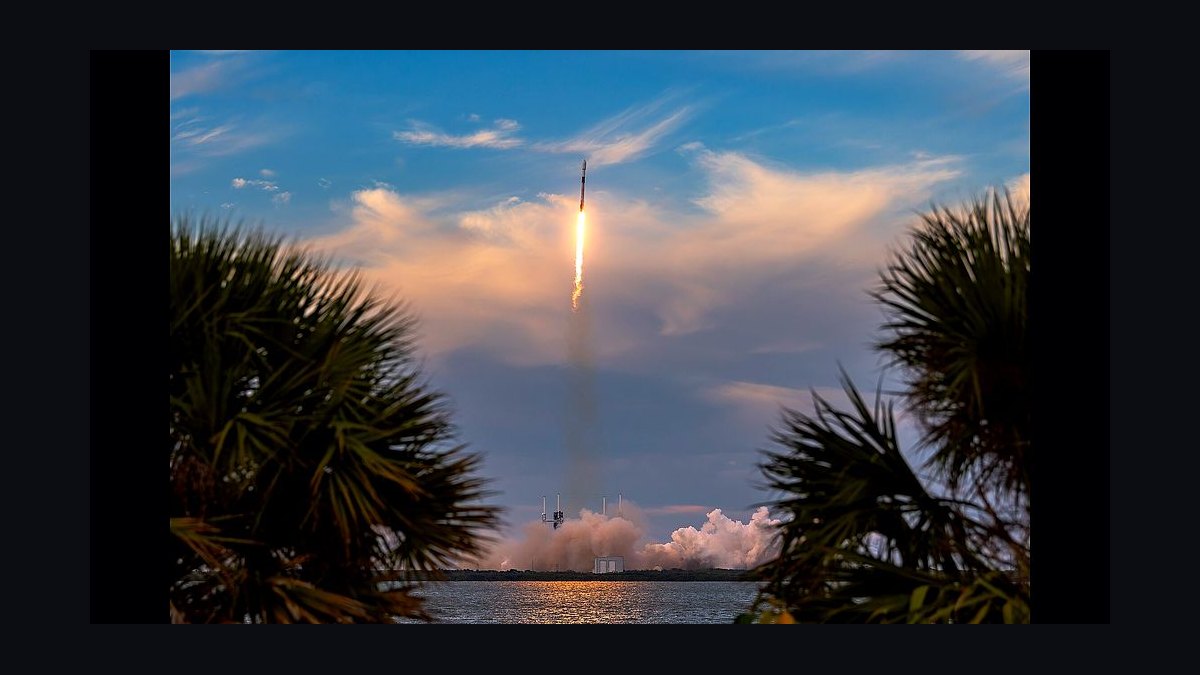 Will Starlink become a real cell phone carrier in 2027 — figure 4