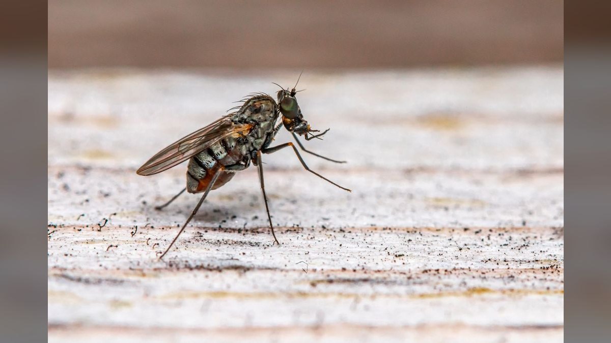 What is the best tech stack for a pest control company in 2027 — figure 2