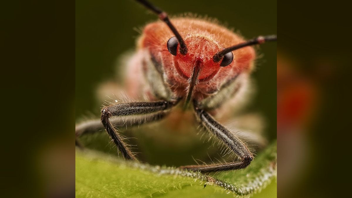 What is the best tech stack for a pest control company in 2027 — figure 3