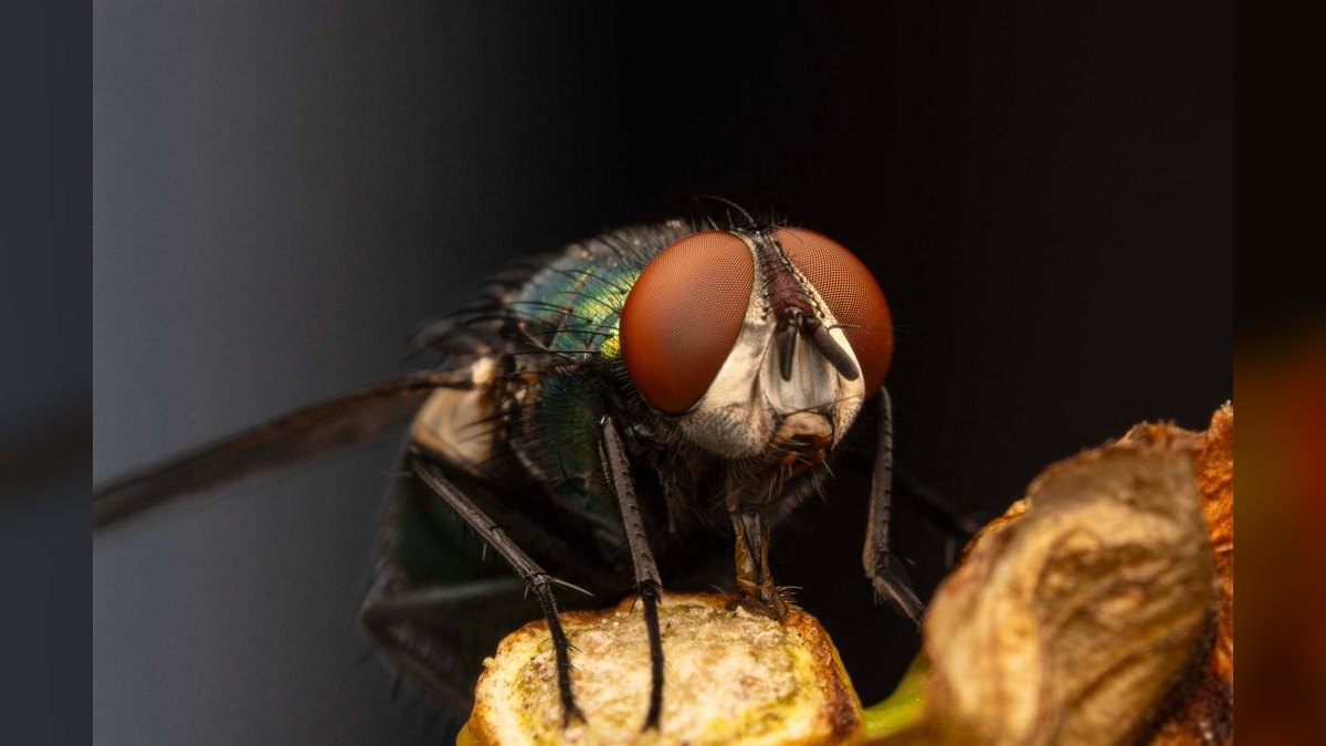 What is the best tech stack for a pest control company in 2027 — figure 4
