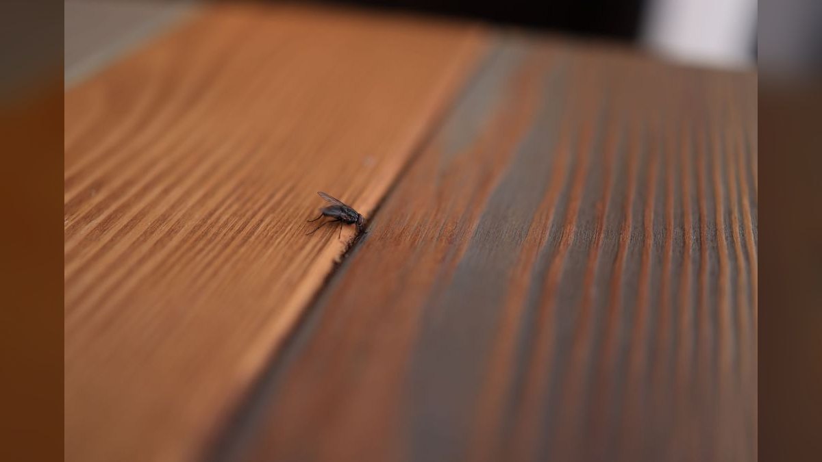 What is the best tech stack for a pest control company in 2027 — figure 5