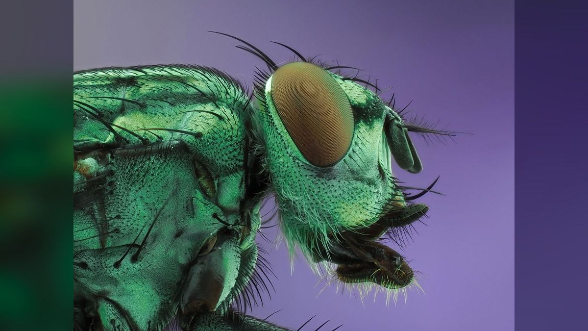 What is the best tech stack for a pest control company in 2027 — figure 6