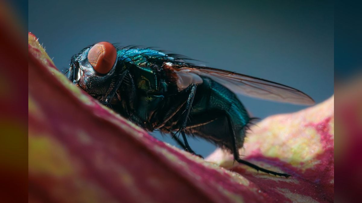 What is the best tech stack for a pest control company in 2027?