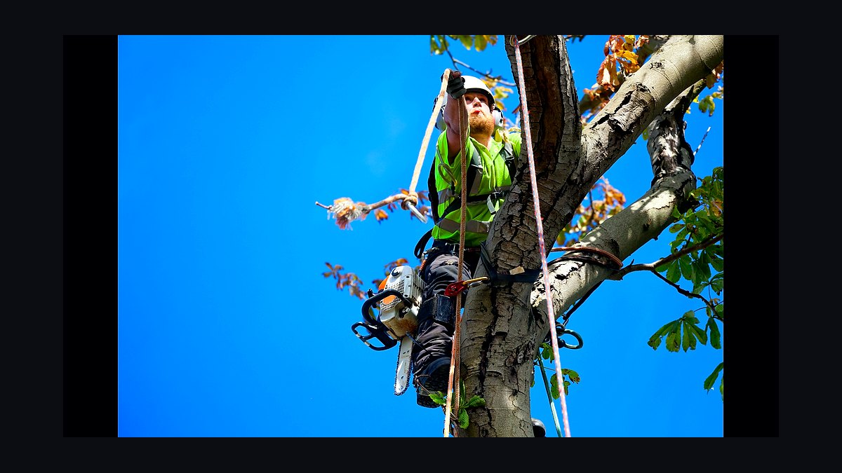 Top 10 Best Tech Stack Tools for Tree Services in 2027 — figure 3