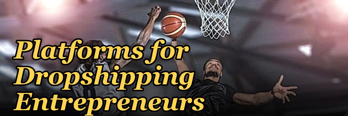 Top 10 E-commerce Platforms for Dropshipping Entrepreneurs in 2027
