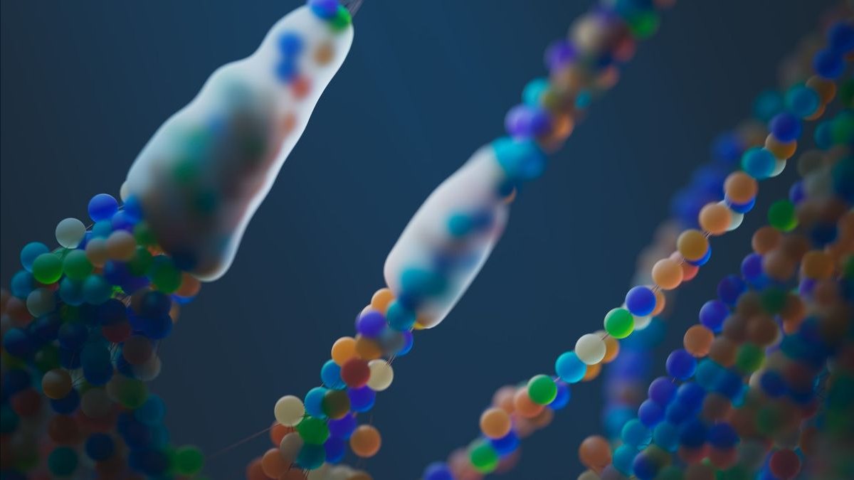 A Bioinformatics Pipeline: Genome Assembly and Variant Calling with Nextflow, Conda, and AWS Batch — figure 4