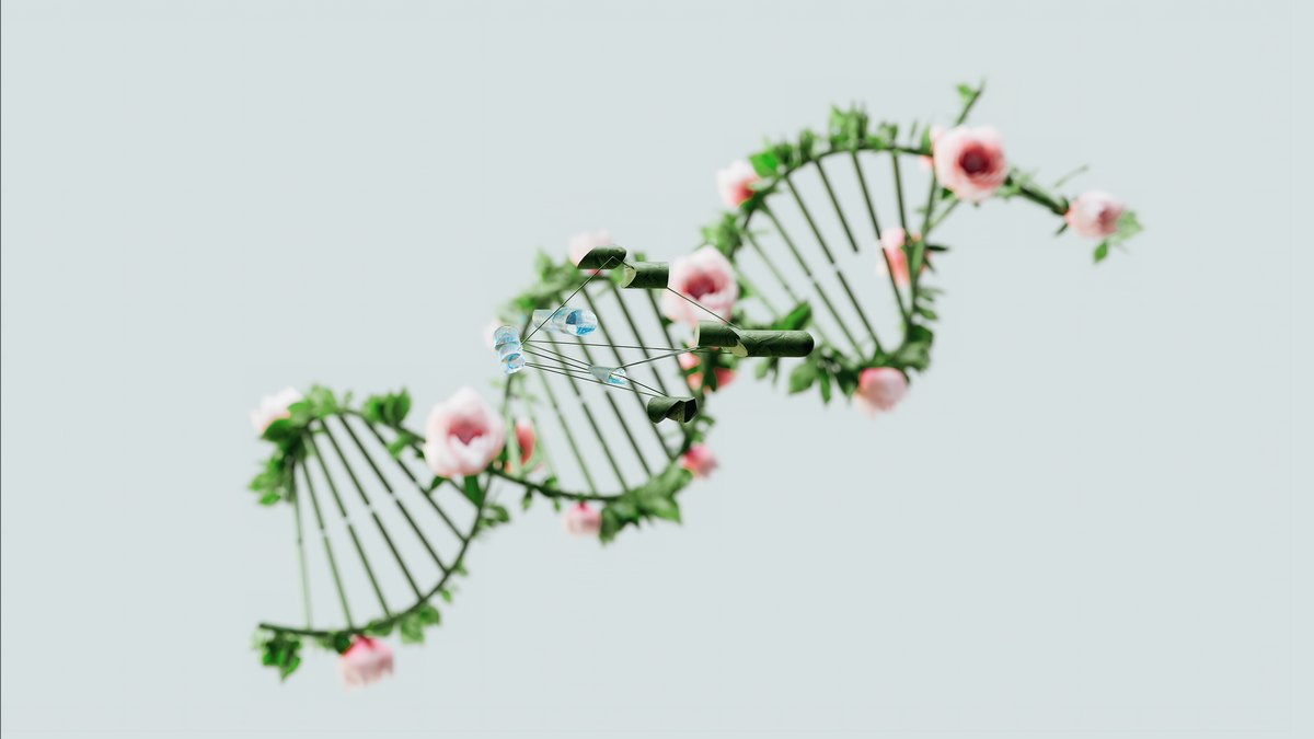A Bioinformatics Pipeline: Genome Assembly and Variant Calling with Nextflow, Conda, and AWS Batch — figure 5