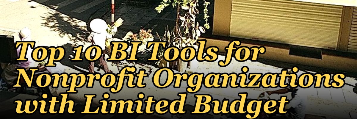 Top 10 BI Tools for Nonprofit Organizations with Limited Budget