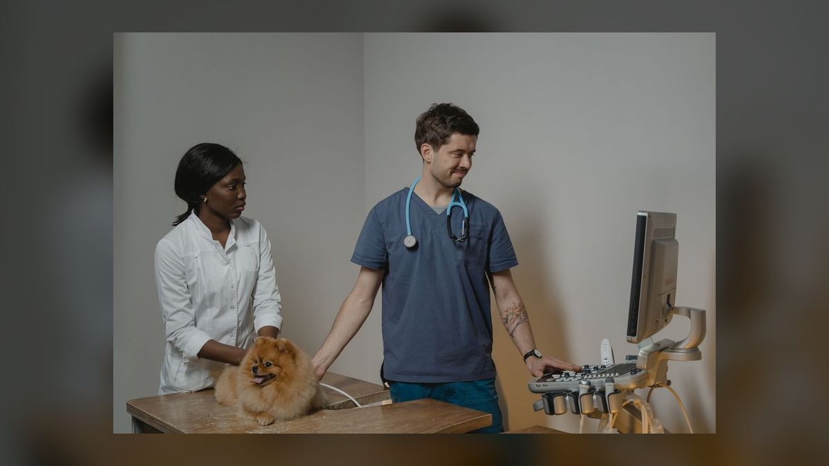 The Veterinary Practice Management Stack in 2027 — figure 6