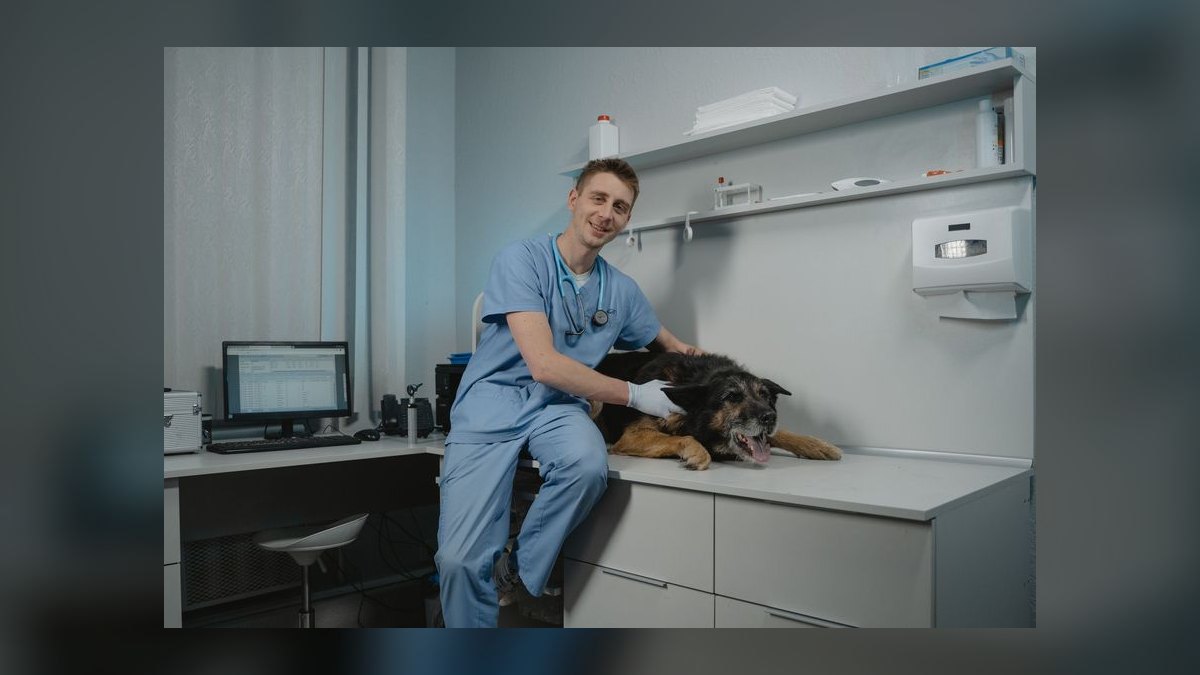 The Veterinary Practice Management Stack in 2027 — figure 7