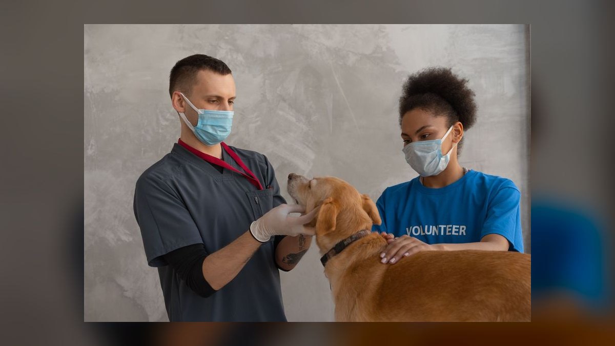 The Veterinary Practice Management Stack in 2027 — figure 9