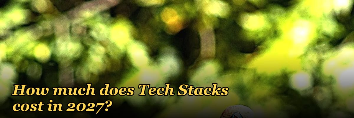 How much does Tech Stacks cost in 2027?