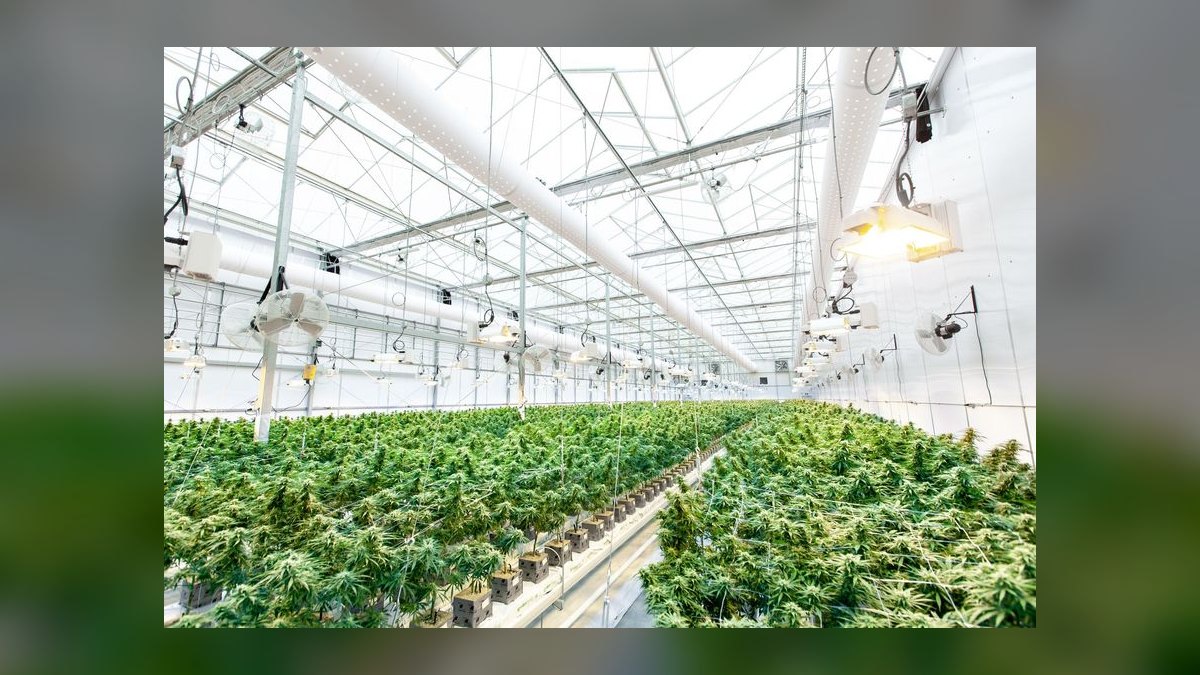What is the best tech stack for a cannabis cultivation facility in 2027 — figure 3