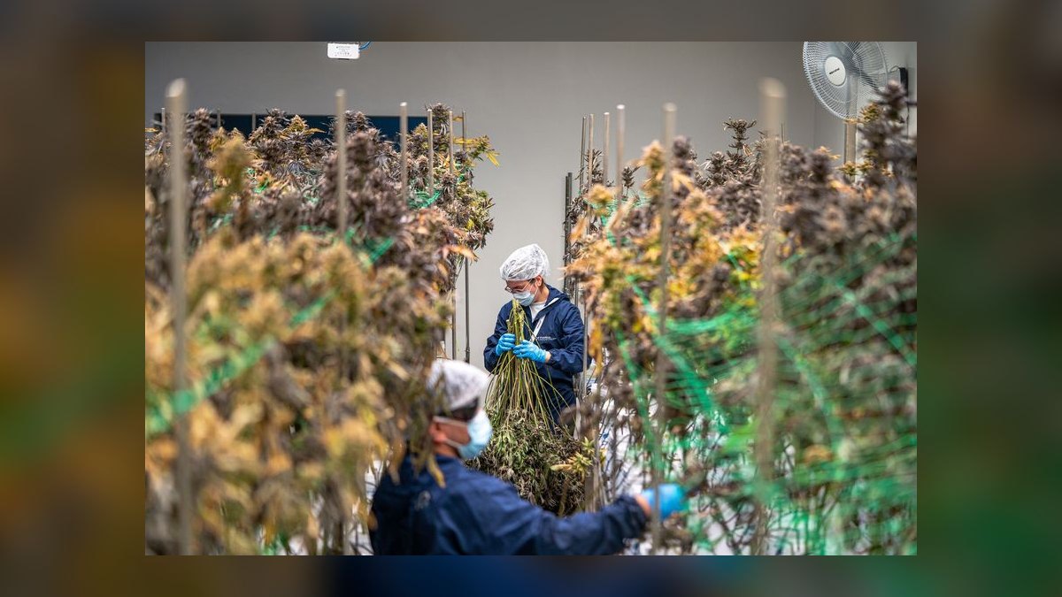 What is the best tech stack for a cannabis cultivation facility in 2027 — figure 4