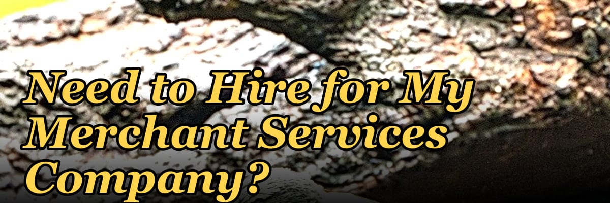 How Many Sales Reps Do I Need to Hire for My Merchant Services Company?
