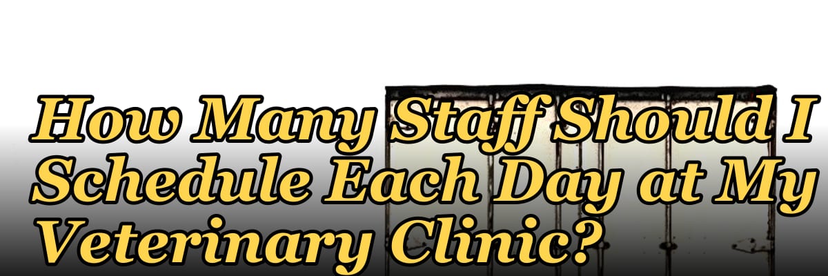 How Many Staff Should I Schedule Each Day at My Veterinary Clinic?