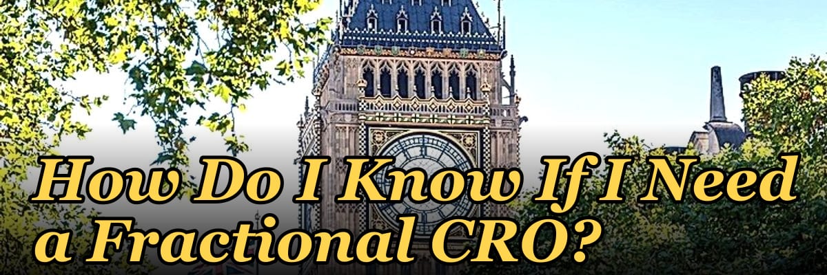 How Do I Know If I Need a Fractional CRO in 2027?