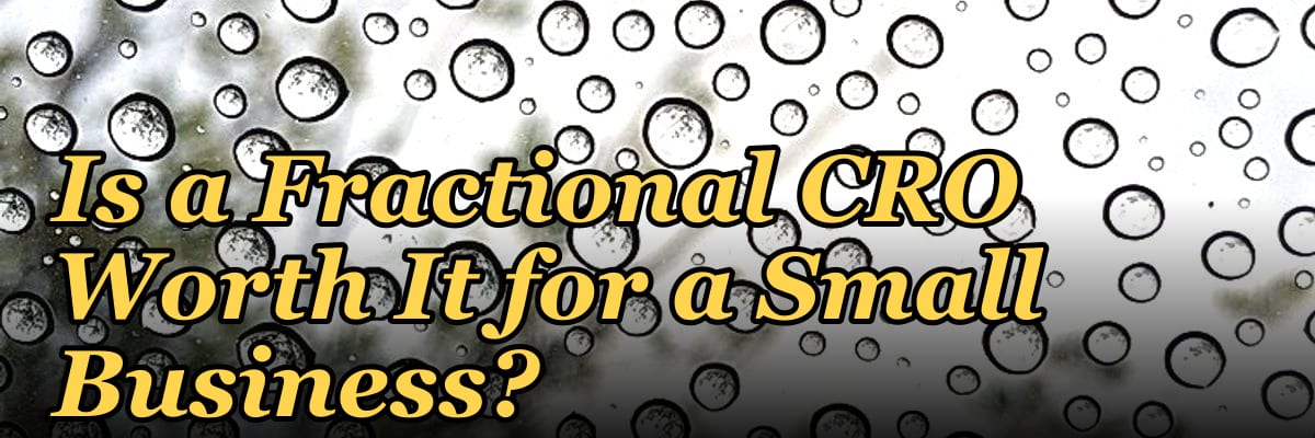 Is a Fractional CRO Worth It for a Small Business in 2027?