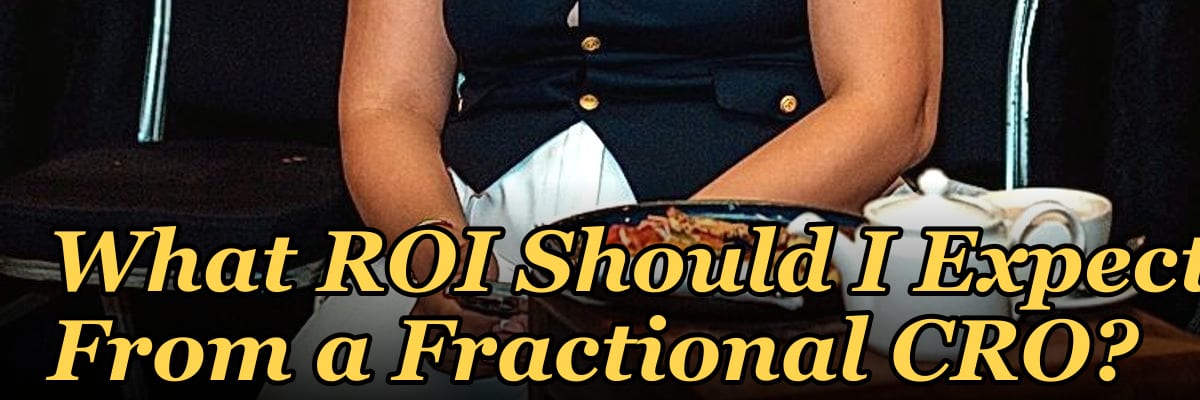 What ROI Should I Expect From a Fractional CRO in 2027?