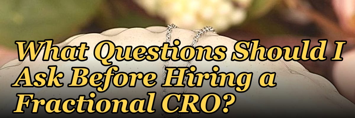 What Questions Should I Ask Before Hiring a Fractional CRO in 2027?