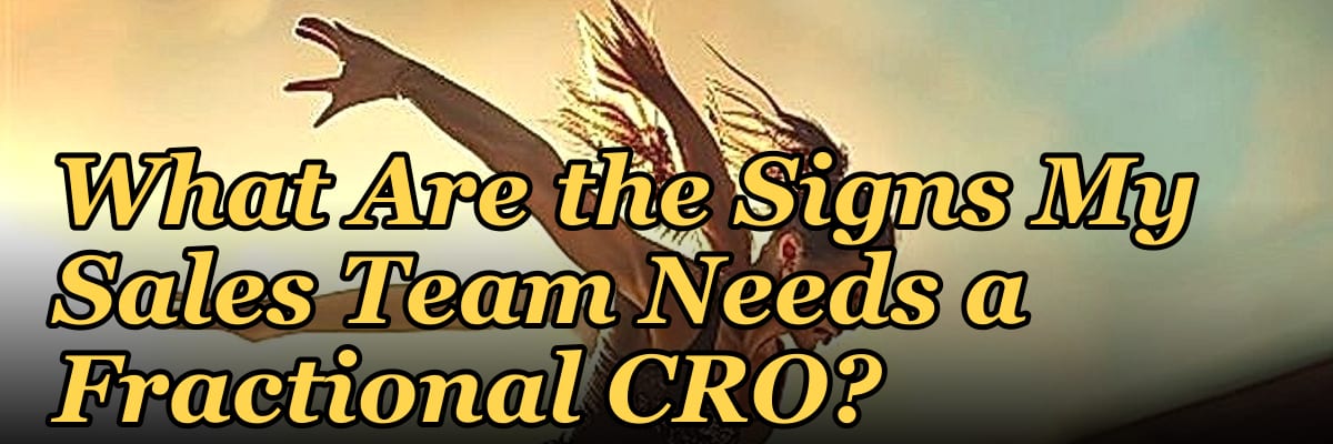 What Are the Signs My Sales Team Needs a Fractional CRO in 2027?