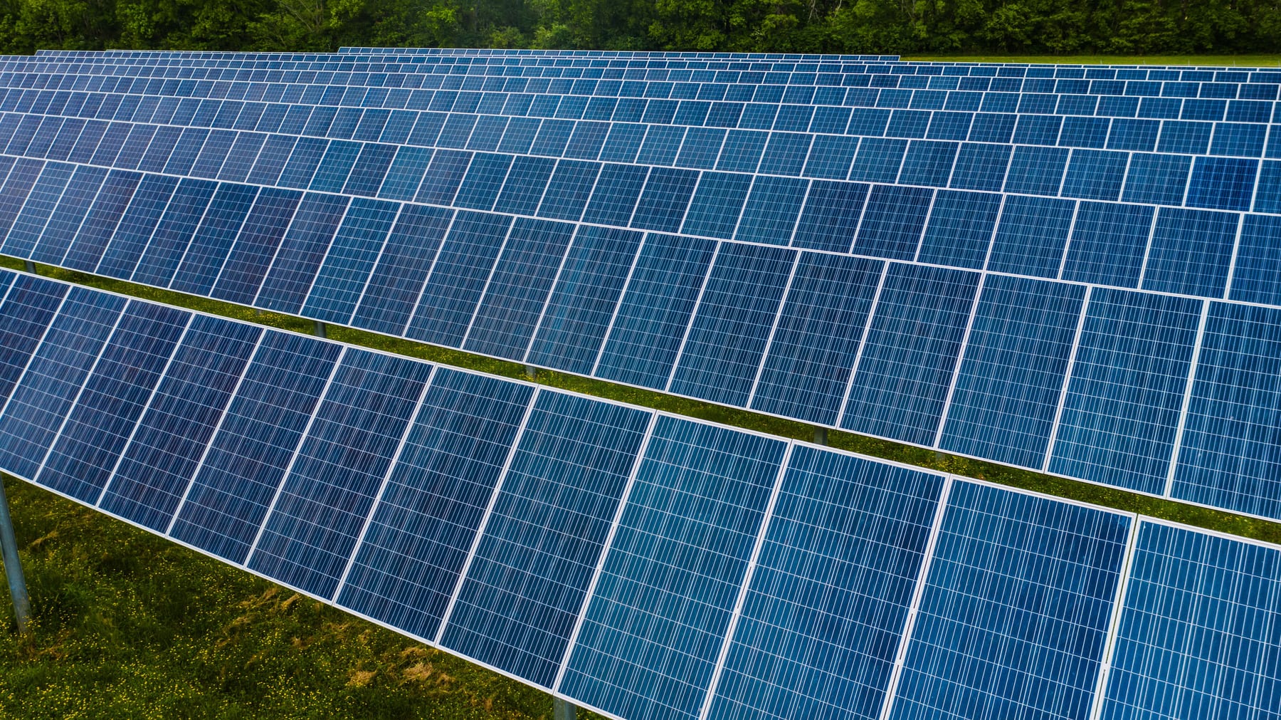 Do I Need a Fractional CRO for My Solar Company — figure 2