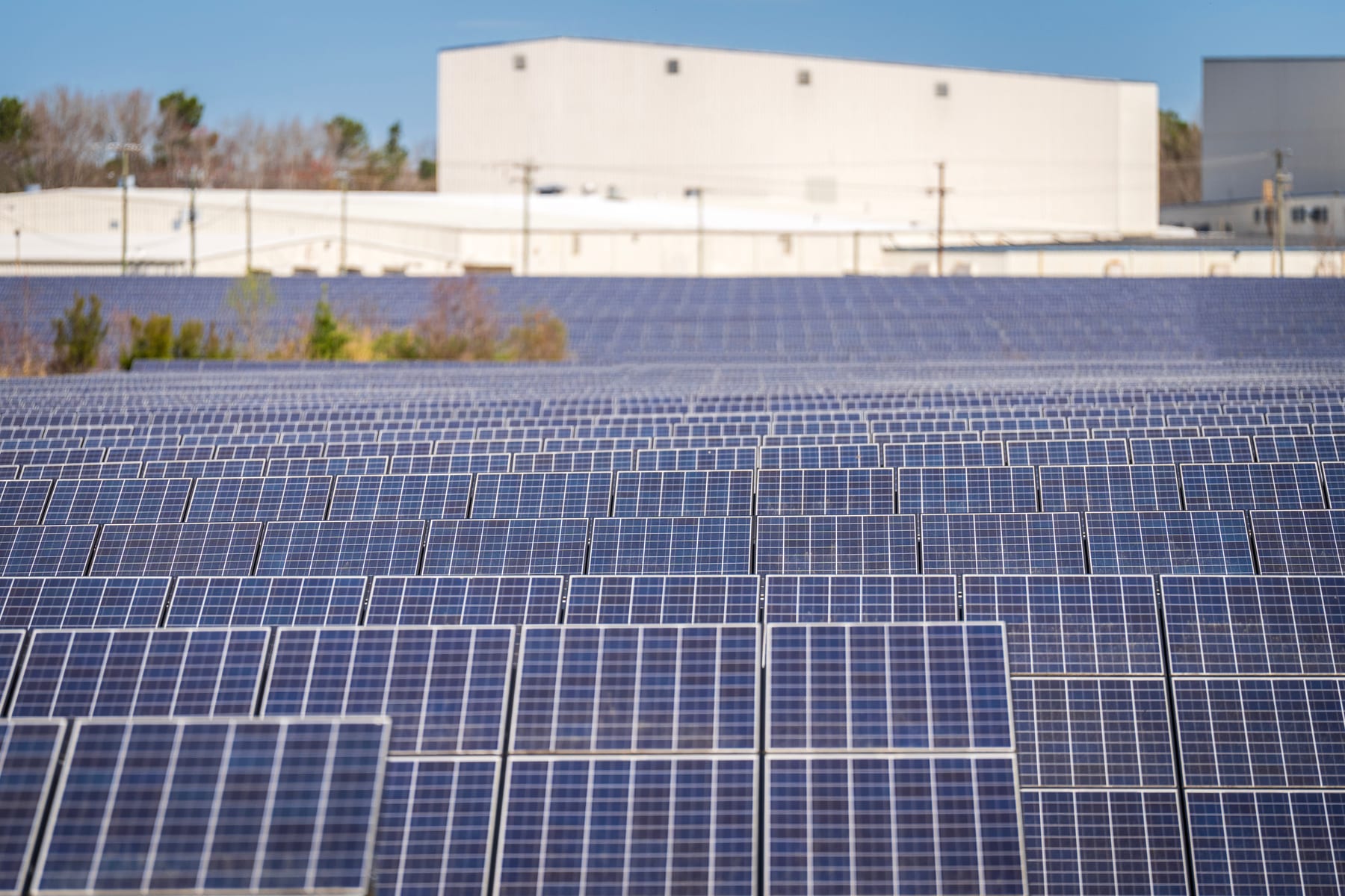 Do I Need a Fractional CRO for My Solar Company — figure 3