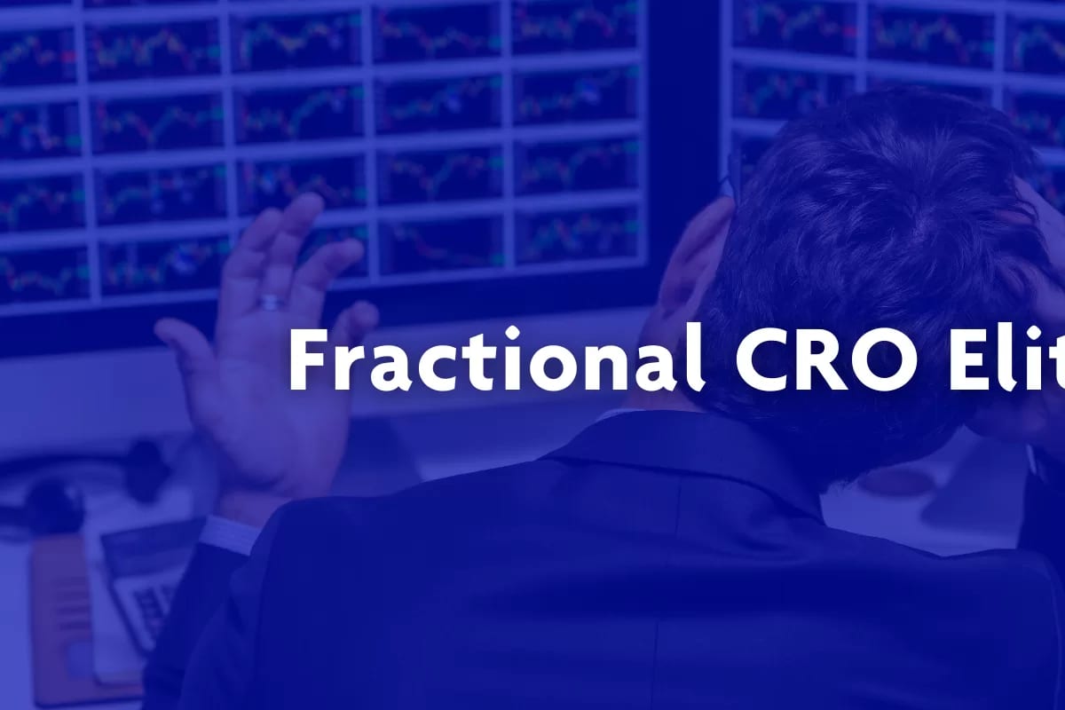 Do I Need a Fractional CRO for My Fintech Startup — figure 8